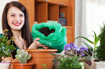Indoor gardening