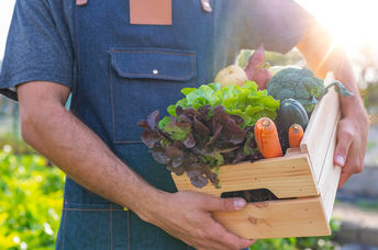 Sustainable food.