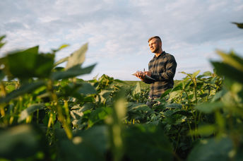 Modern farming.