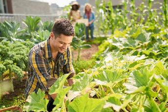 Roof garden.