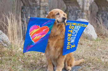 Remembering Spencer the official dog of the Boston Marathon.