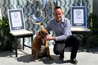 Bobi's and his owner at his 31st Birthday party.