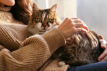 Woman petting her cat.
