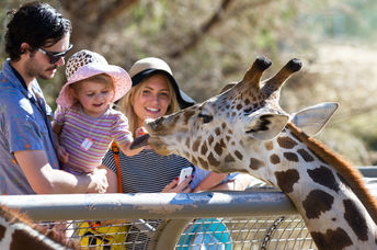 An interactive zoo experience.