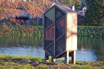 Wooden bee hotel.