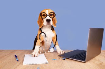 This beagle is helping to detect cancer.