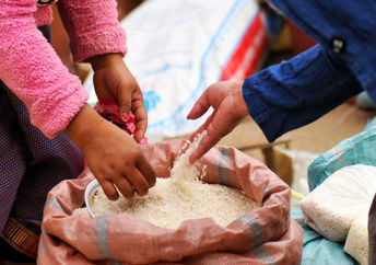 Freerice has donated over 95 billion grains to date