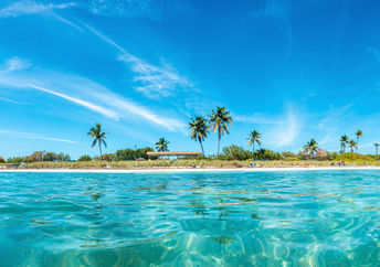 The Florida Keys hosts crabs who are cleaning the coral reef ecosystem.