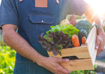 Sustainable food.