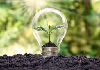 Renewable energy.