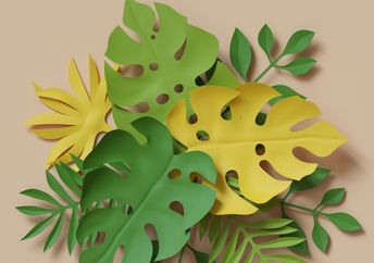 Paper plants.