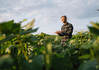 Modern farming.