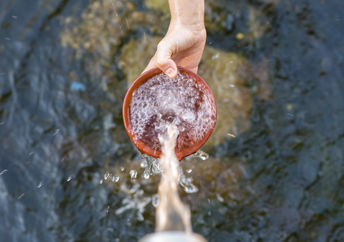 Water source.