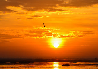 Sunset.