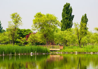 A beautiful park.