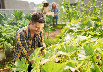 Roof garden.