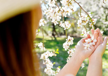 Beautiful flowers.