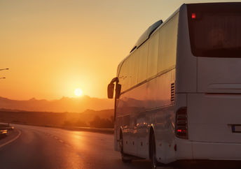 White bus.