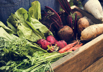 Fresh vegetables.