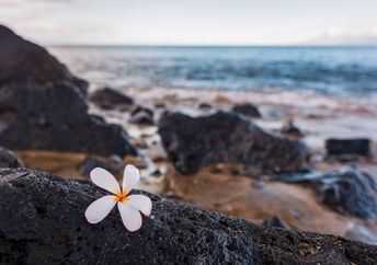 Maui, Hawaii.