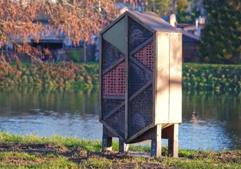 Wooden bee hotel.