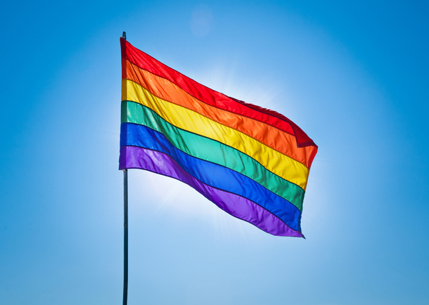 Pride flag. Pride flag.