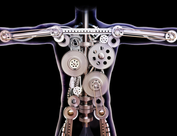 The human body is a wonderous machine The human body is a wonderous machine