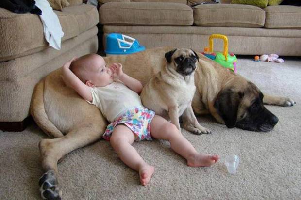 Cute photo of baby with pet dog