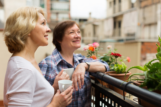Neighbors drinking tea Neighbors drinking tea