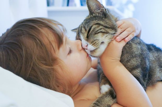 Girl kissing a cat Girl kissing a cat