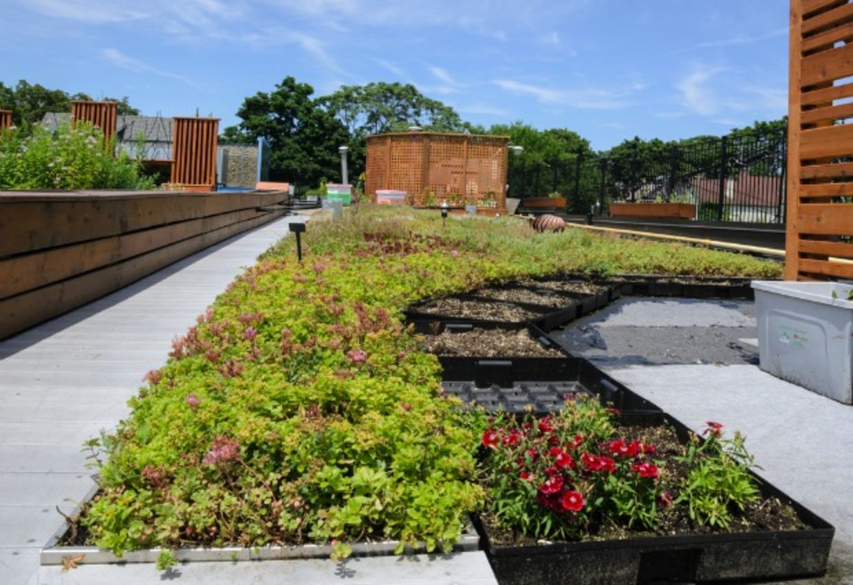 Urban rooftop garden Urban rooftop garden