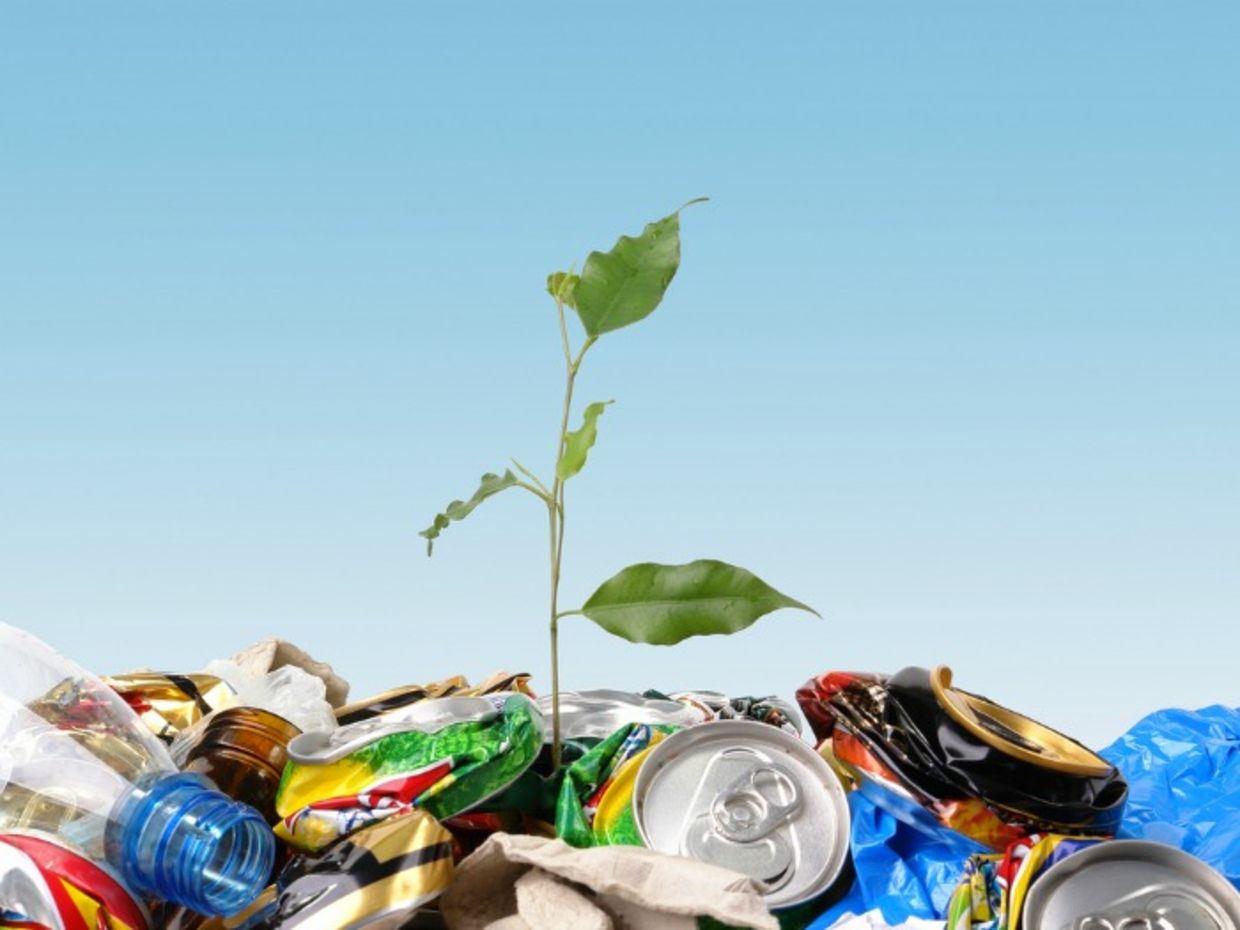 Reduce waste