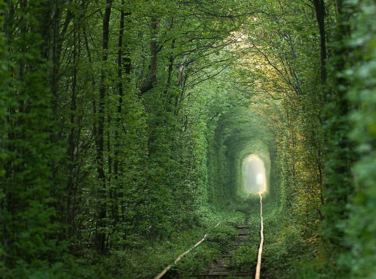 Tunnel of Love Tunnel of Love