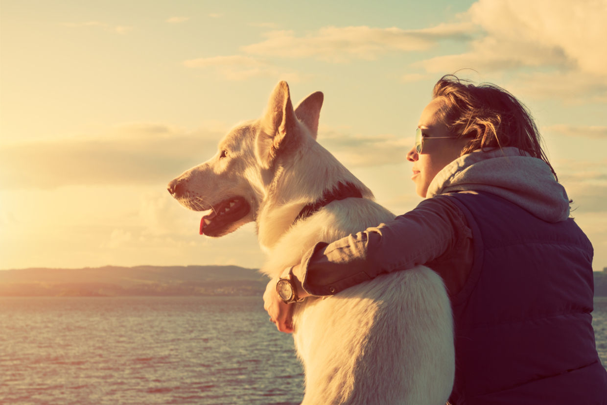 Dogs have been trusty companions for thousands of years (ABO PHOTOGRAPHY / Shutterstock.com) Dogs have been trusty companions for thousands of years (ABO PHOTOGRAPHY / Shutterstock.com)