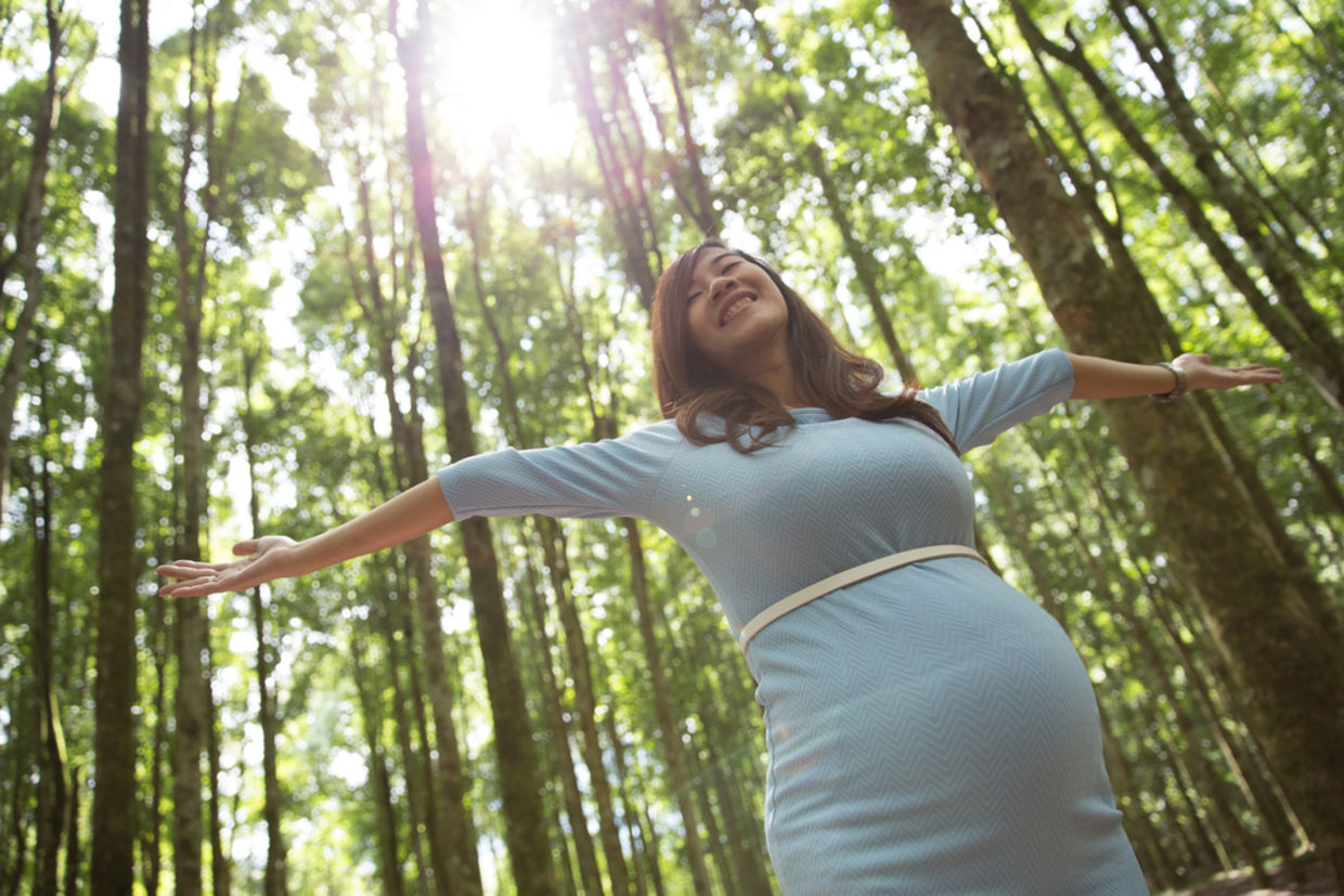 A happy pregnant woman A happy pregnant woman