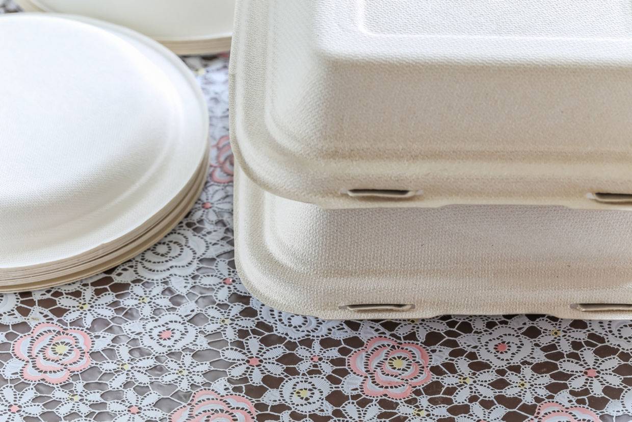 Biodegradable products Biodegradable products