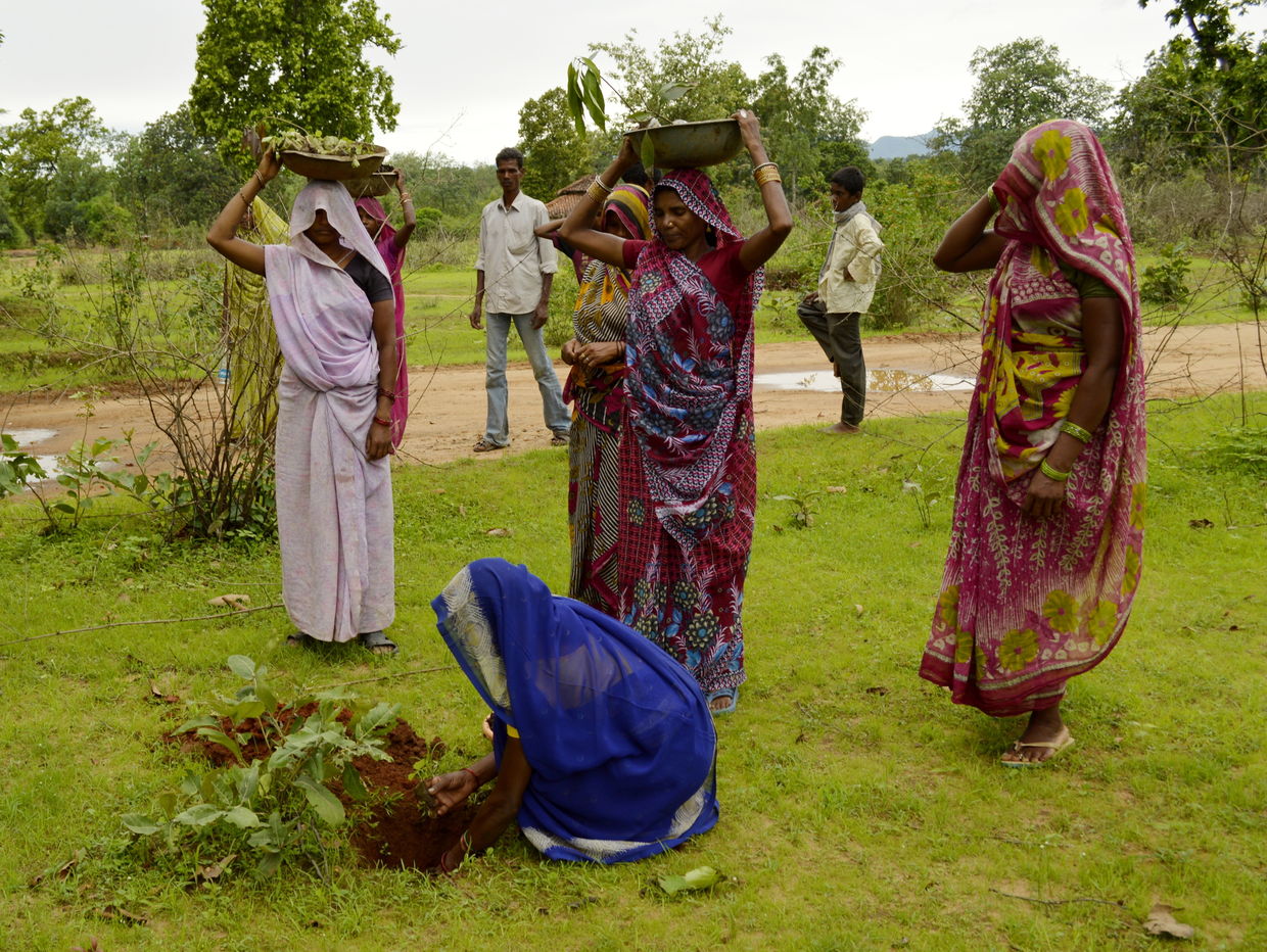 800.000 volunteers planted close to 50 million trees in just 24 hours. (Yann Forget / Wikimedia Commons / CC-BY-SA-3.0) 800.000 volunteers planted close to 50 million trees in just 24 hours. (Yann Forget / Wikimedia Commons / CC-BY-SA-3.0)