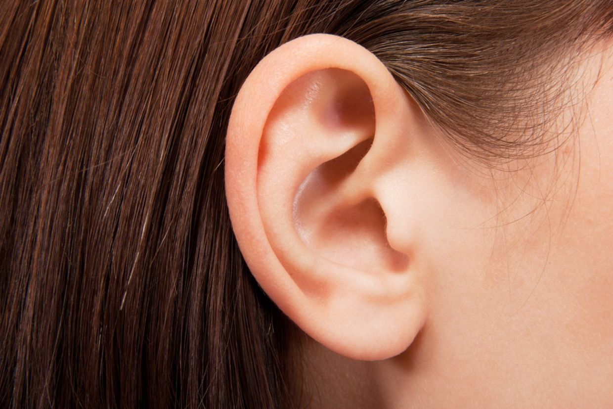 Close up of human ear Close up of human ear