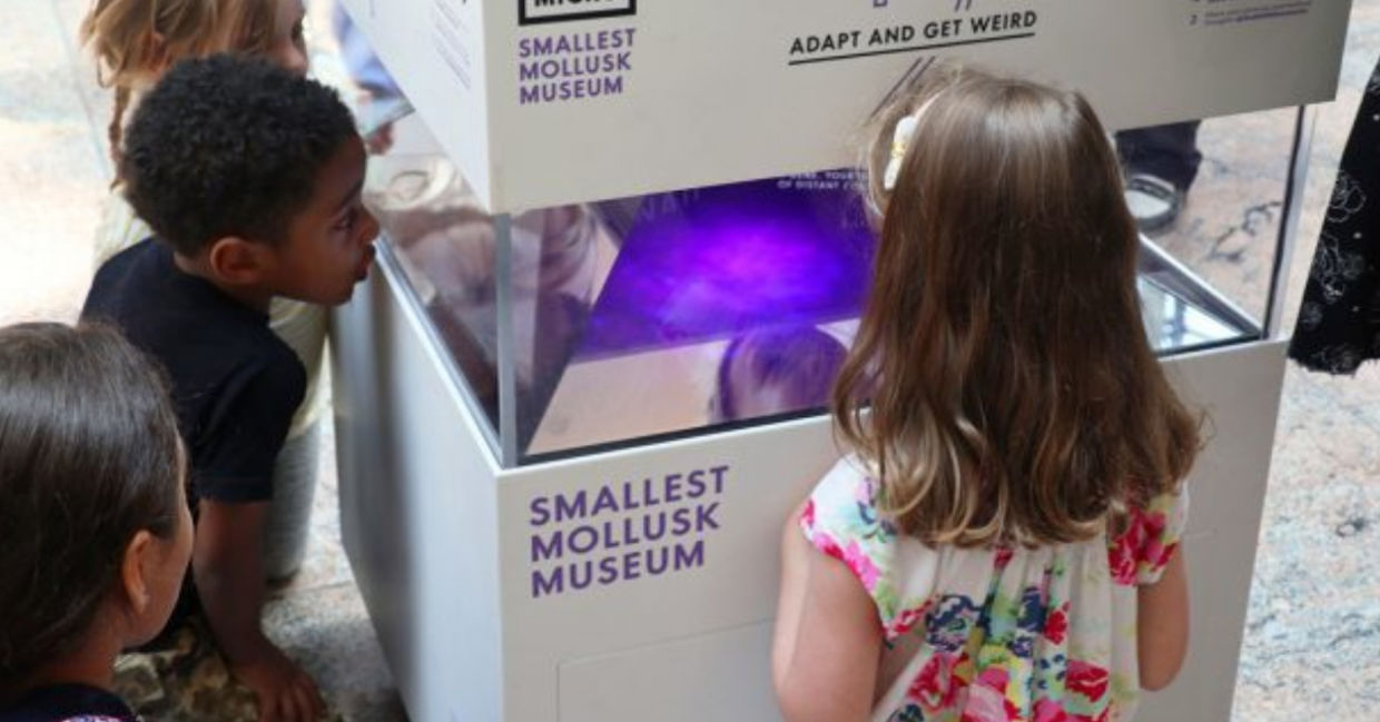 The holographic aquarium in MICRO's Smallest Mollusk Museum The holographic aquarium in MICRO's Smallest Mollusk Museum