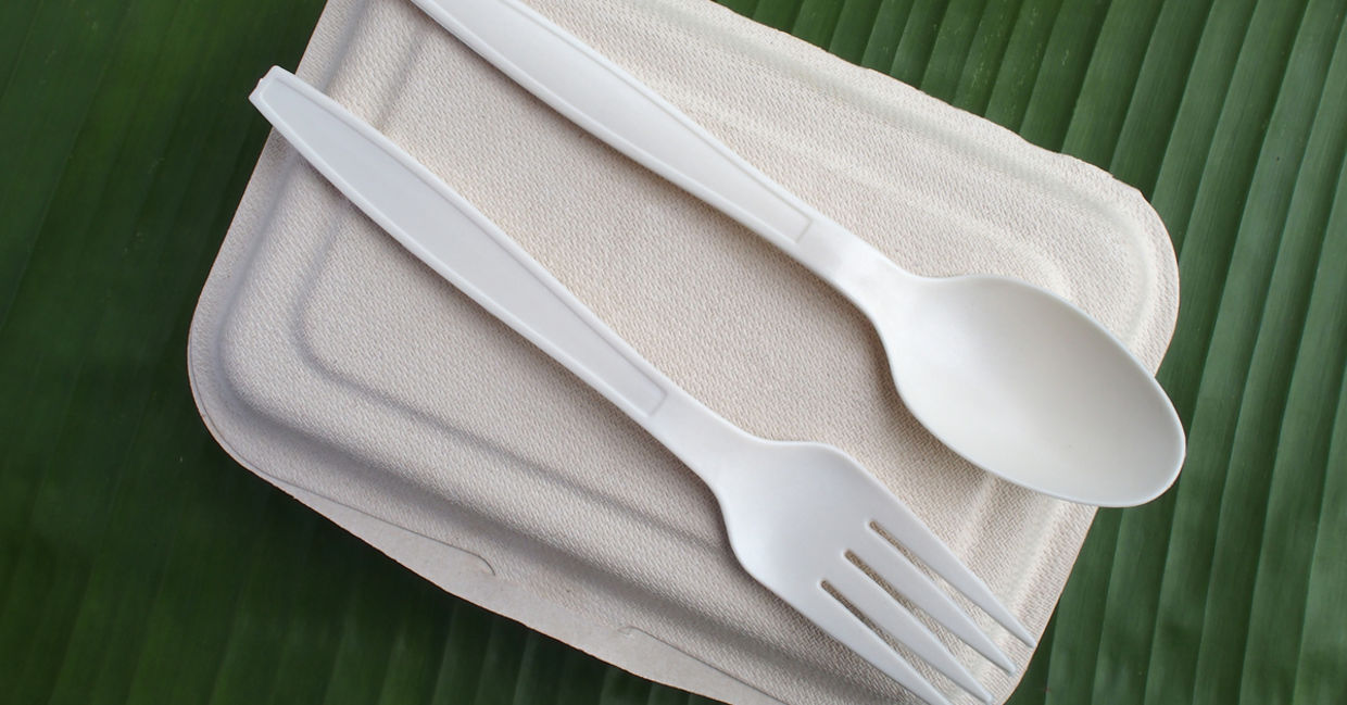 bio plastic spoon fork and biodegradable lunch box on banana leaf bio plastic spoon fork and biodegradable lunch box on banana leaf