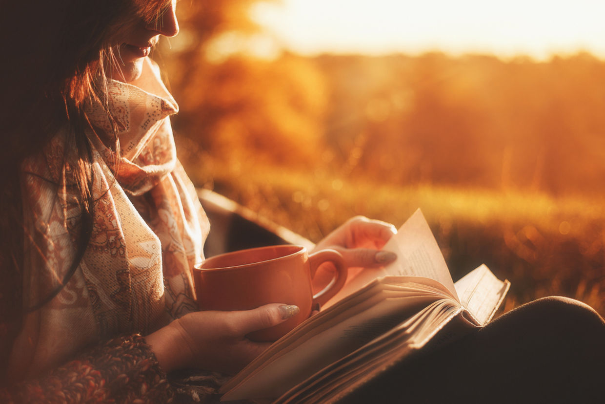 booklover reading book booklover reading book