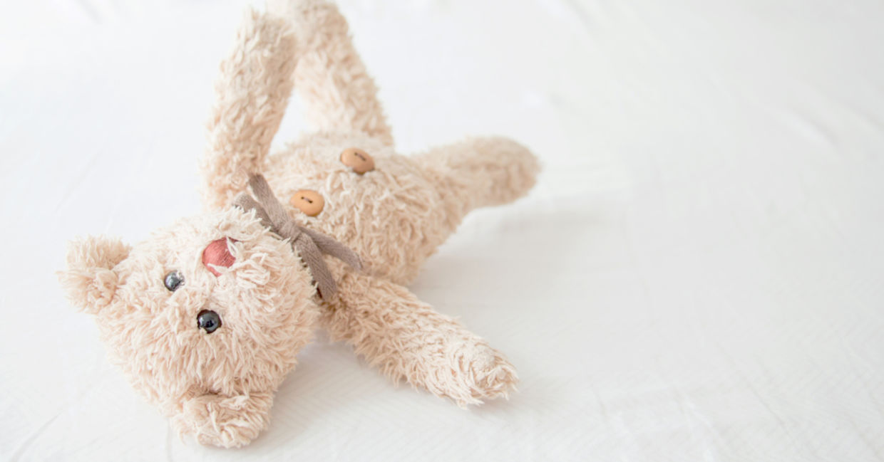 The Meddy Teddy, deep in meddytation The Meddy Teddy, deep in meddytation