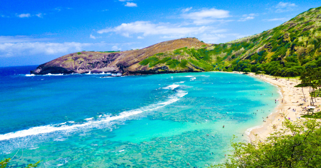 Snorkeling Bay in Oahu,Hawaii Snorkeling Bay in Oahu,Hawaii
