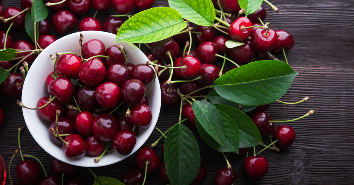 Cherries are a summer fruit Cherries are a summer fruit