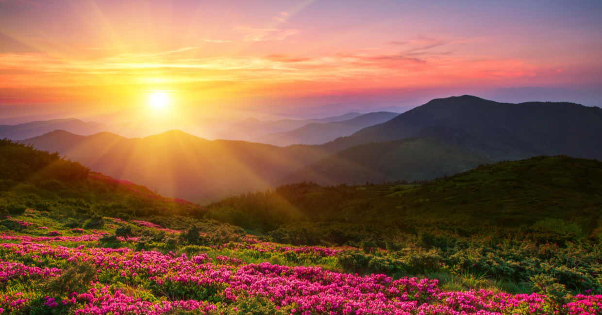 (Shutterstock) (Shutterstock)