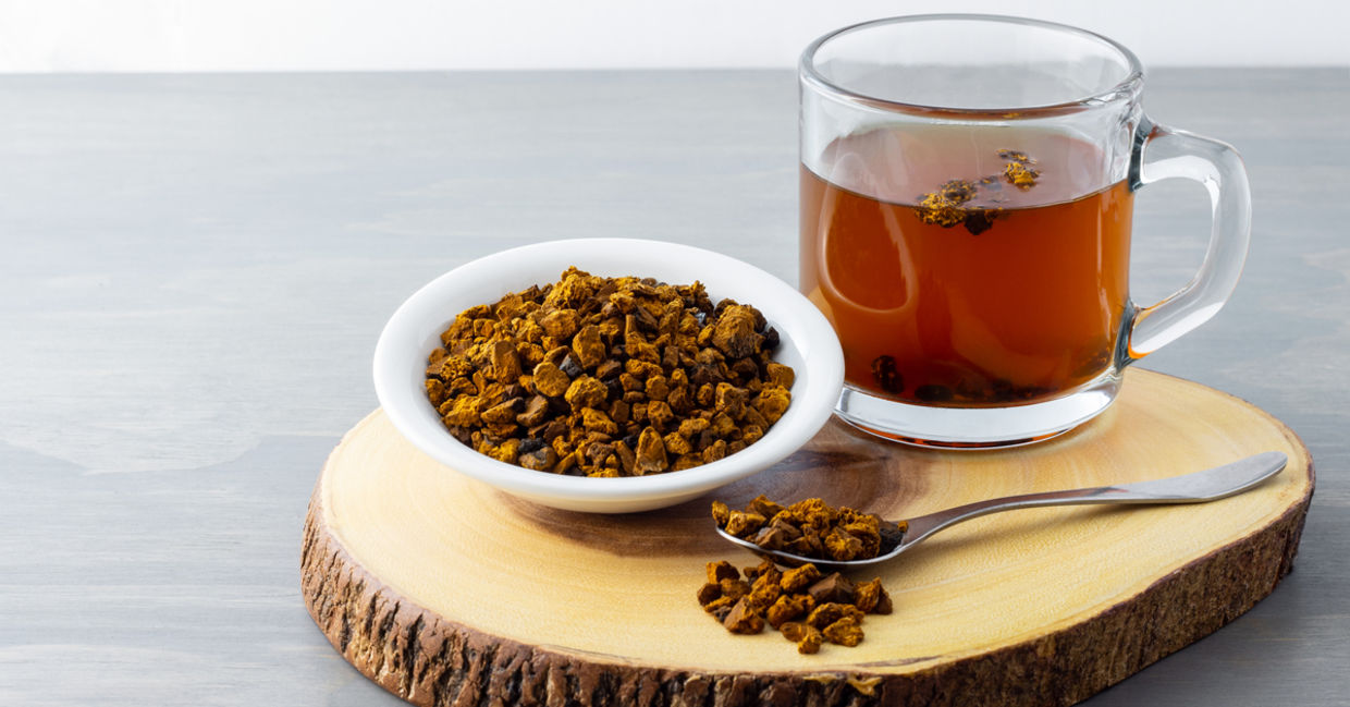 Chaga is by far the most potent antioxidant on the planet. (Shutterstock) Chaga is by far the most potent antioxidant on the planet. (Shutterstock)