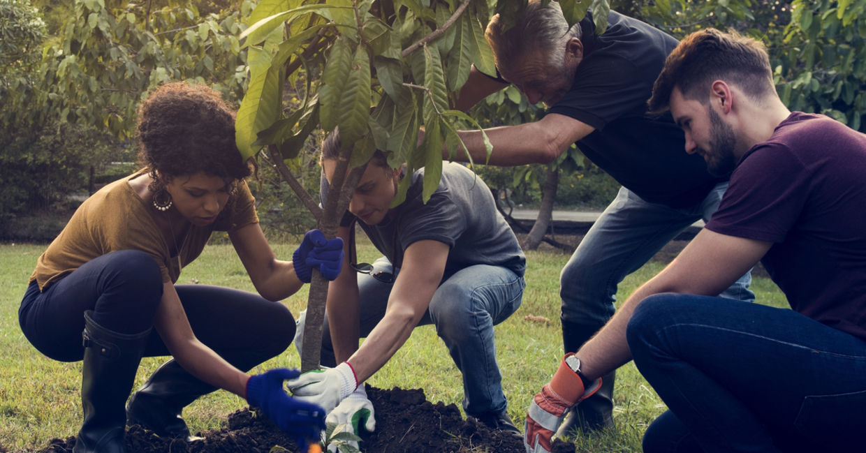 Volunteers donate their time to environmental causes. Volunteers donate their time to environmental causes.