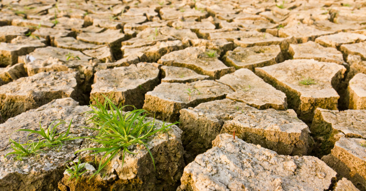 The potential effects of global warming on the environment The potential effects of global warming on the environment