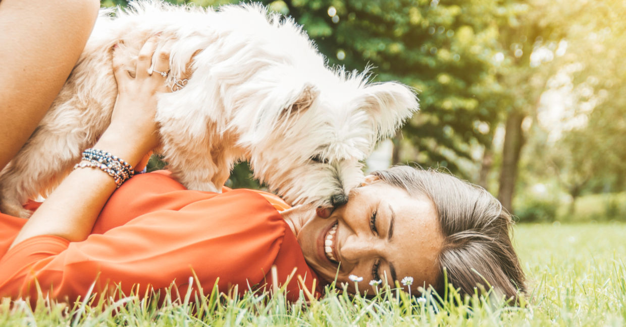 Dogs can warn diabetics when their insulin levels are running low. (DavideAngelini / Shutterstock.com) Dogs can warn diabetics when their insulin levels are running low. (DavideAngelini / Shutterstock.com)