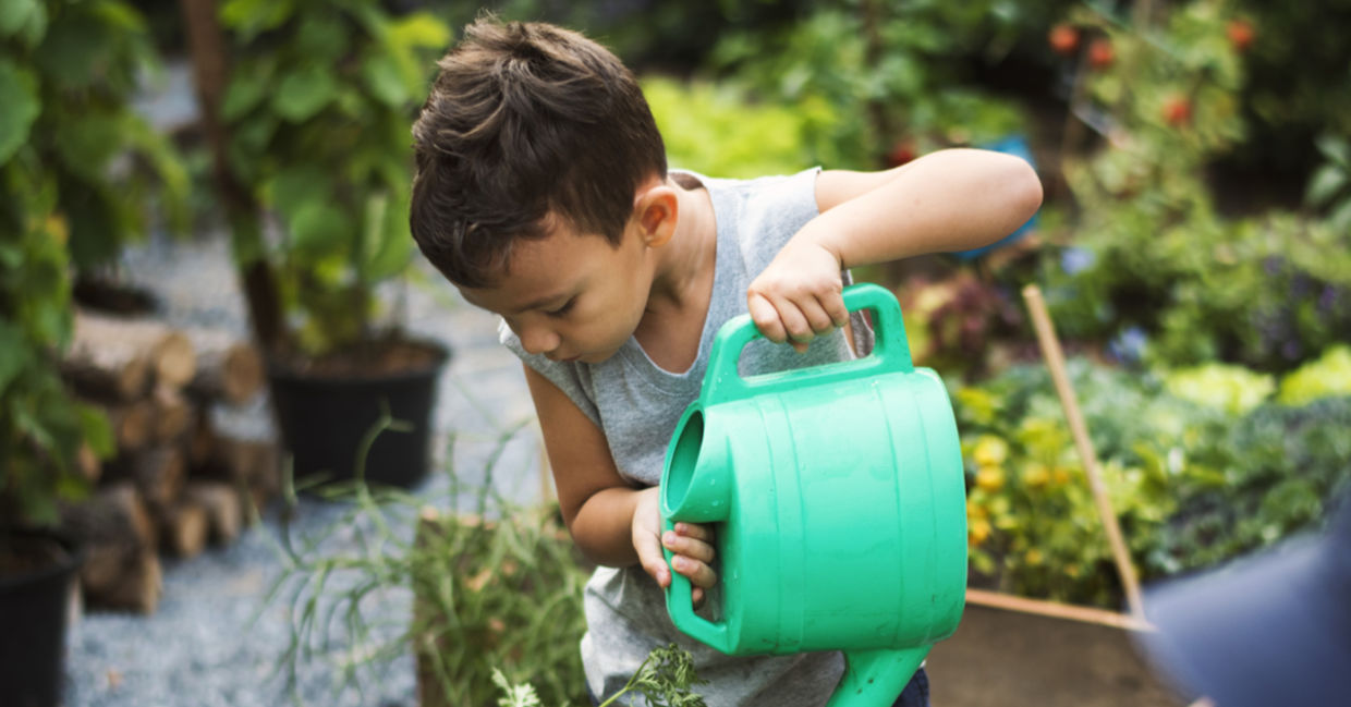 Child watering school garden. Child watering school garden.